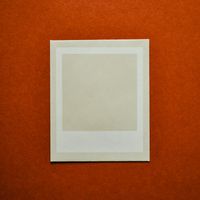 Avatar placeholder for expert